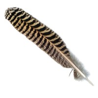 Smudging Feather - SMALL
